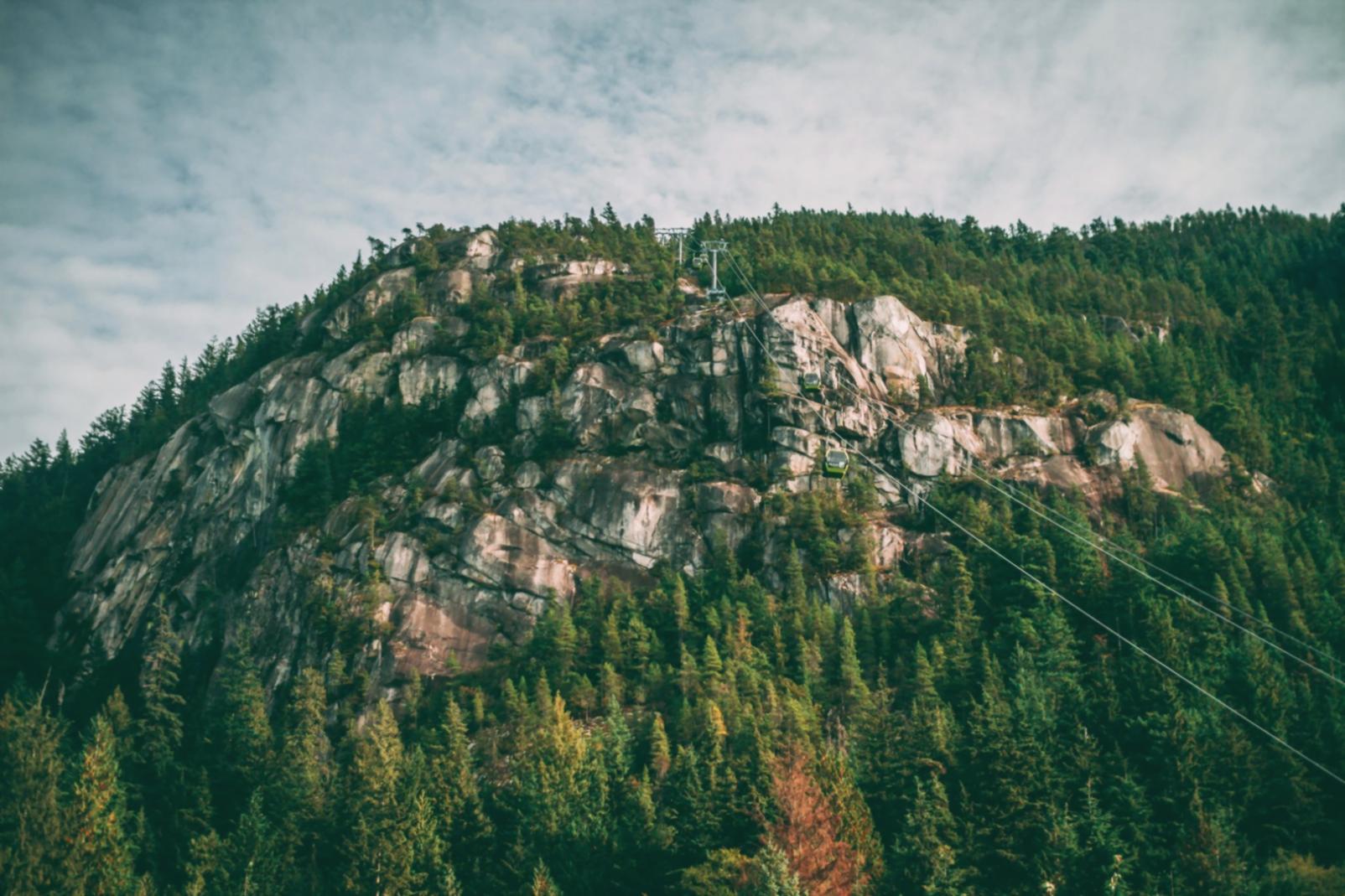 Професійне навчання для роботи з туристичними постачальниками